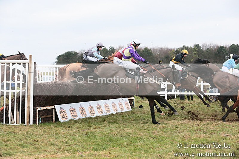 PtP 060119 467 - Larkhill Racing Club - Point-to-Point- 06/01/2019