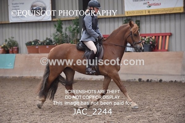 JAC_2244 - CLASS 2 Novice Working Hunter