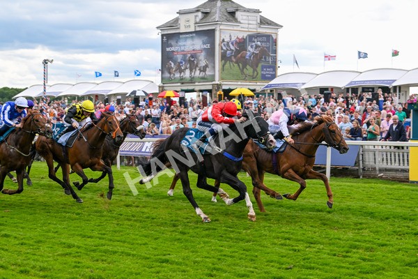 310525-Race 5-Frankies Dream-9868 - Race 5 3.50pm Reg Bond Always And Forever Handicap