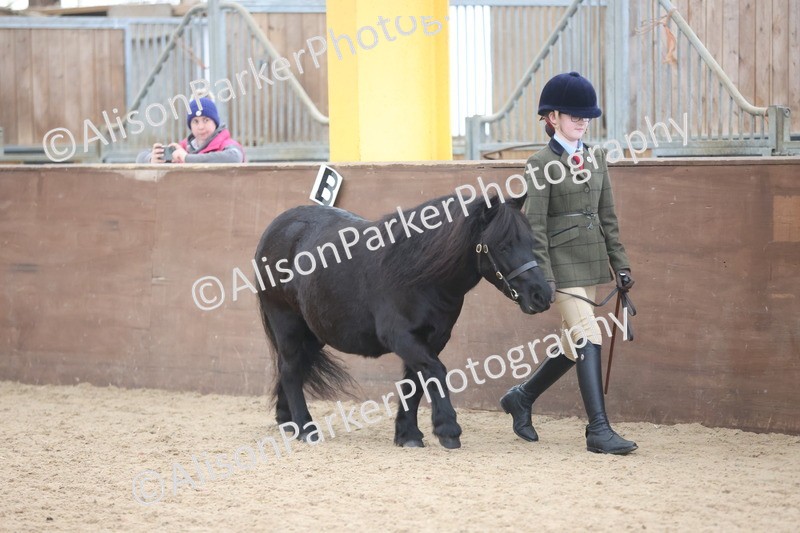 20251109-1191 - Young Handler Championship