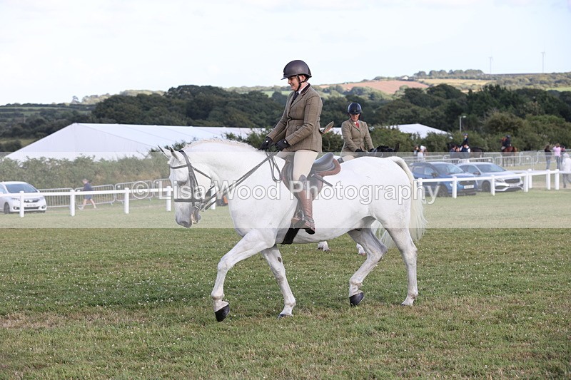 JPP_3555 - Class 22: Working Hunter 90cm