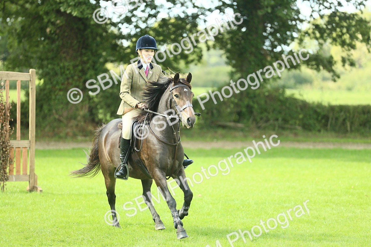 SBM_42907 - S30 - M&M Working hunter Pony
