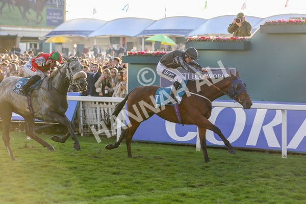 121024-Race 7-Two Brothers-7419 - Race 7 5.05pm Coral Committed To Safer Gambling Finale Handicap