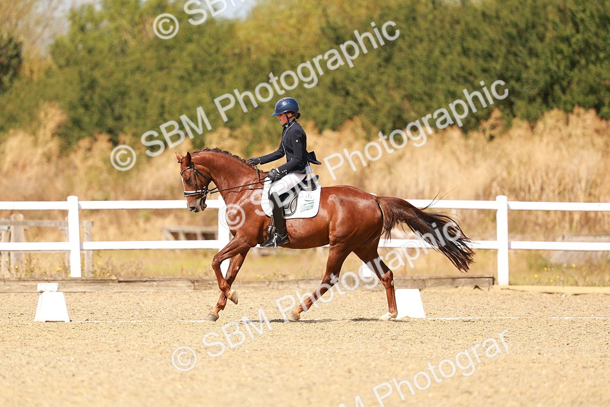 SBM_018336 - Class 9 - N5 Bronze 11.57.13.07