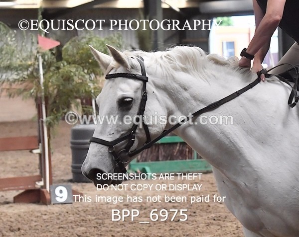 BPP_6975 - CLASS 3 BE80CM