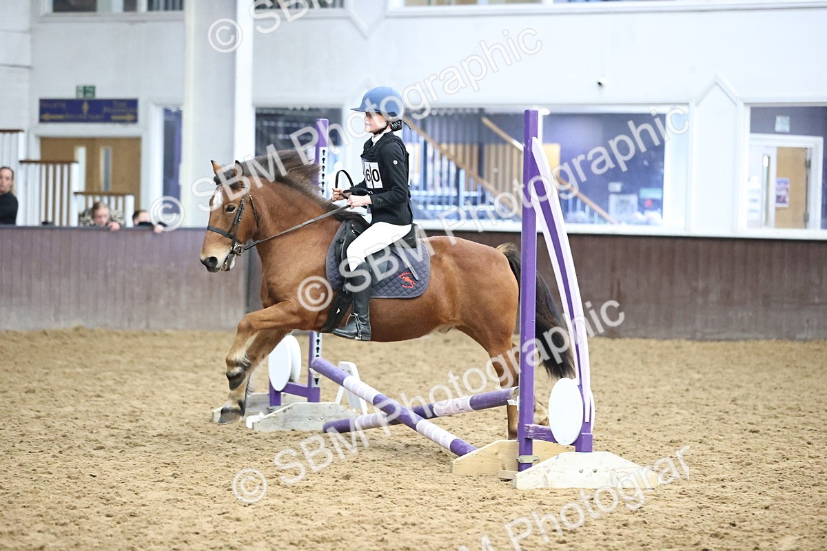 SBM_000154 - Class 2 - The Rug Lady 40cm Area 12 Championship Qualifier