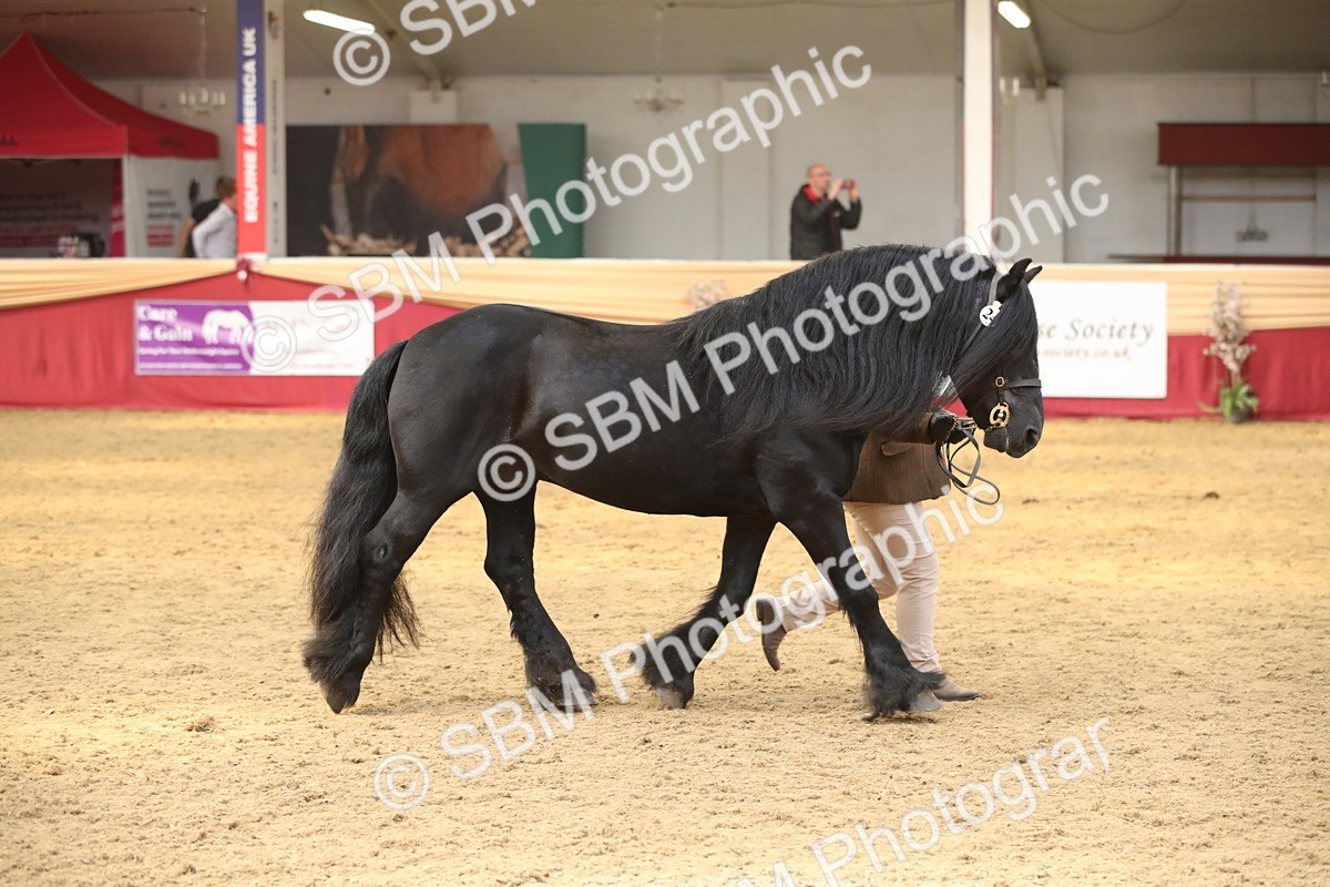 SBM_05336 - Class 8R - Regional IH Veteran