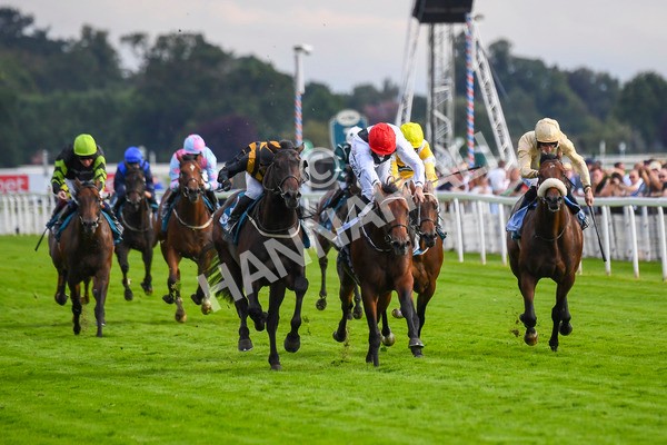 280723-Race 3-Loose Cannon-0274 - Race 3 6.05pm Ire-Incentive, It Pays To Buy Irish EBF Restricted Novice Stakes