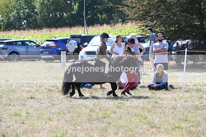 WJ6_8075 - Class 36 Lead Rein