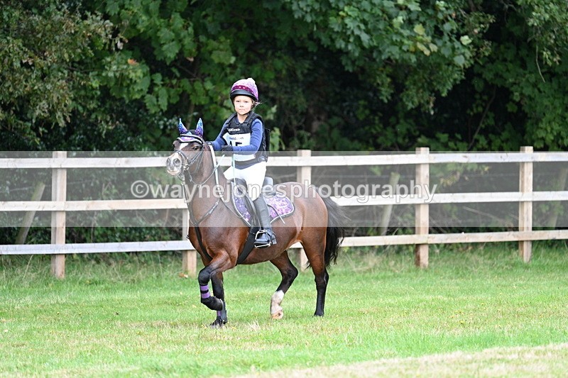 WJ7_7347 - 40cm Time 10:06 to 10:24