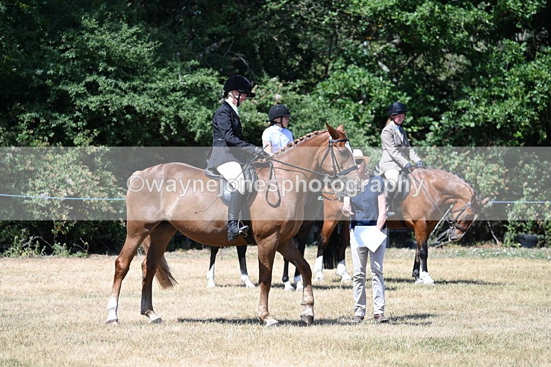 WJ7_3618 - Class 8 Ridden Veterans