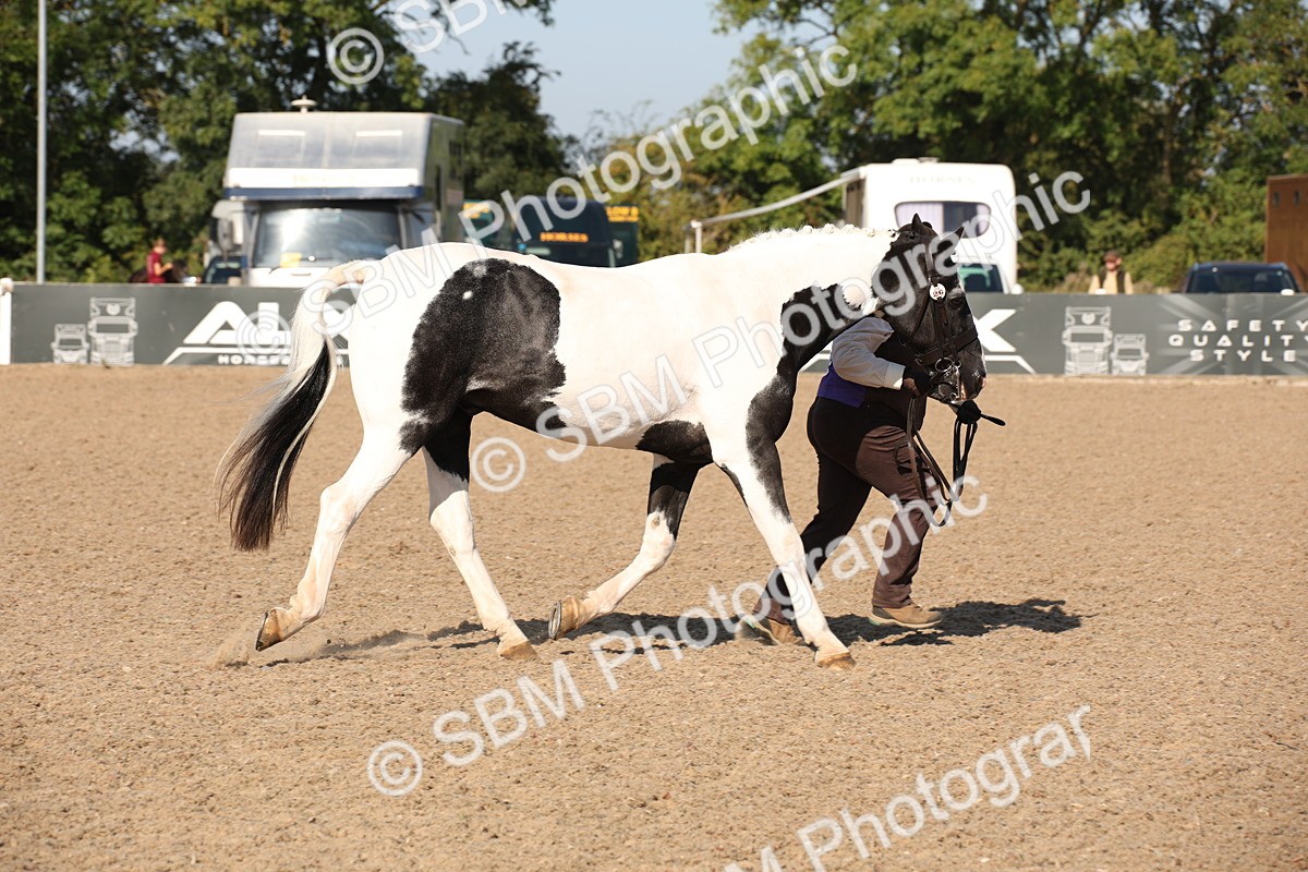 SBM_01503 - Class 15 IH Coloured