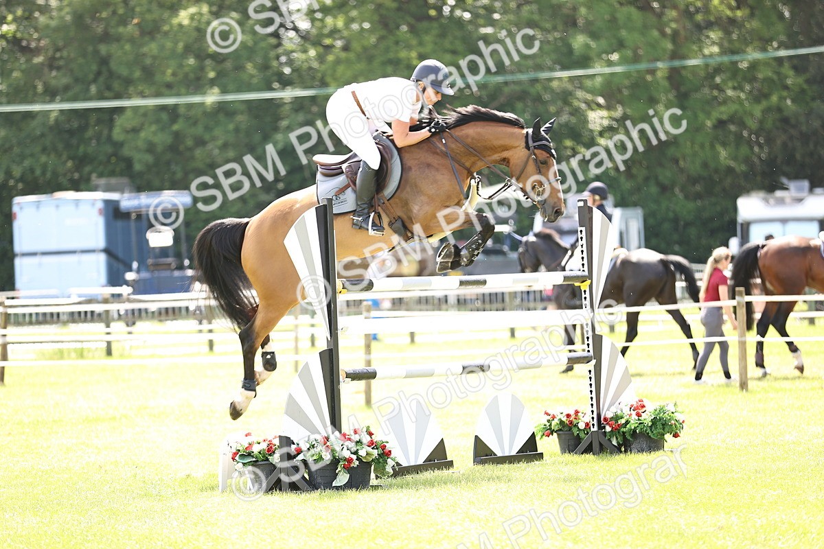 SBM_03958 - Class 201 - British Horse Feedds Speedi Beet HOYS Grade C