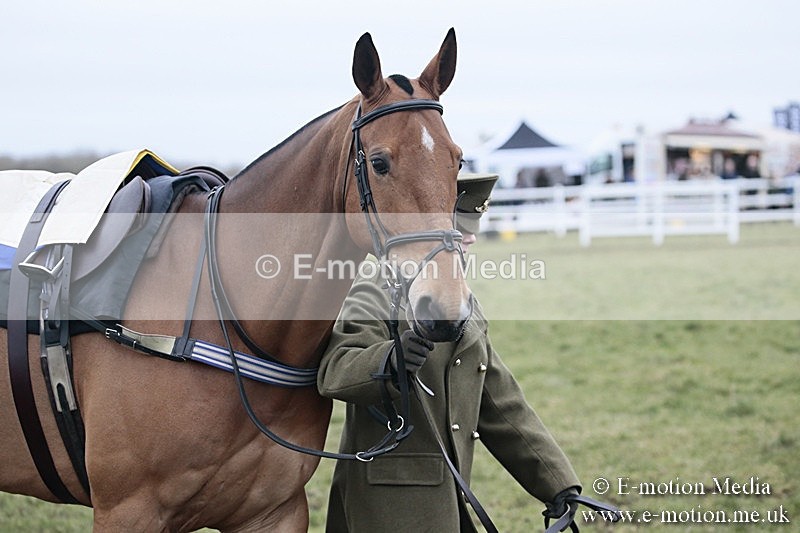 PtP 180218 53 - Combined Services Point-to-Point Larkhill 18/02/18