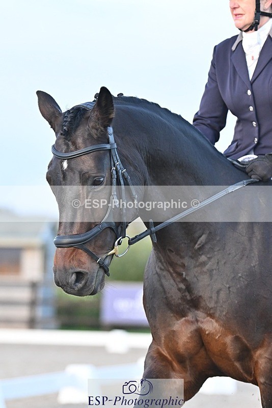 231105-160717-04025 - Cls 4 Novice 24 15.24 to 16.35 break