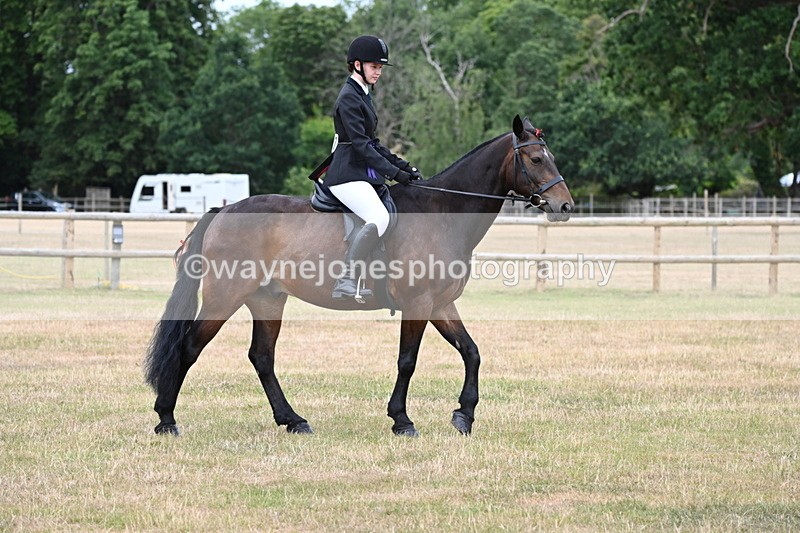 WJ6_4103 - Class 9 Tack & Turnout