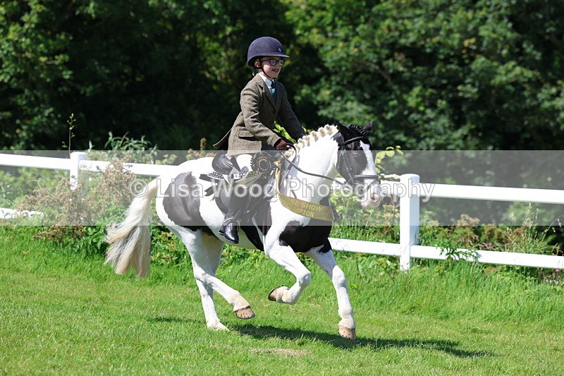 3E7A6856 - Working Hunter Pony Championship