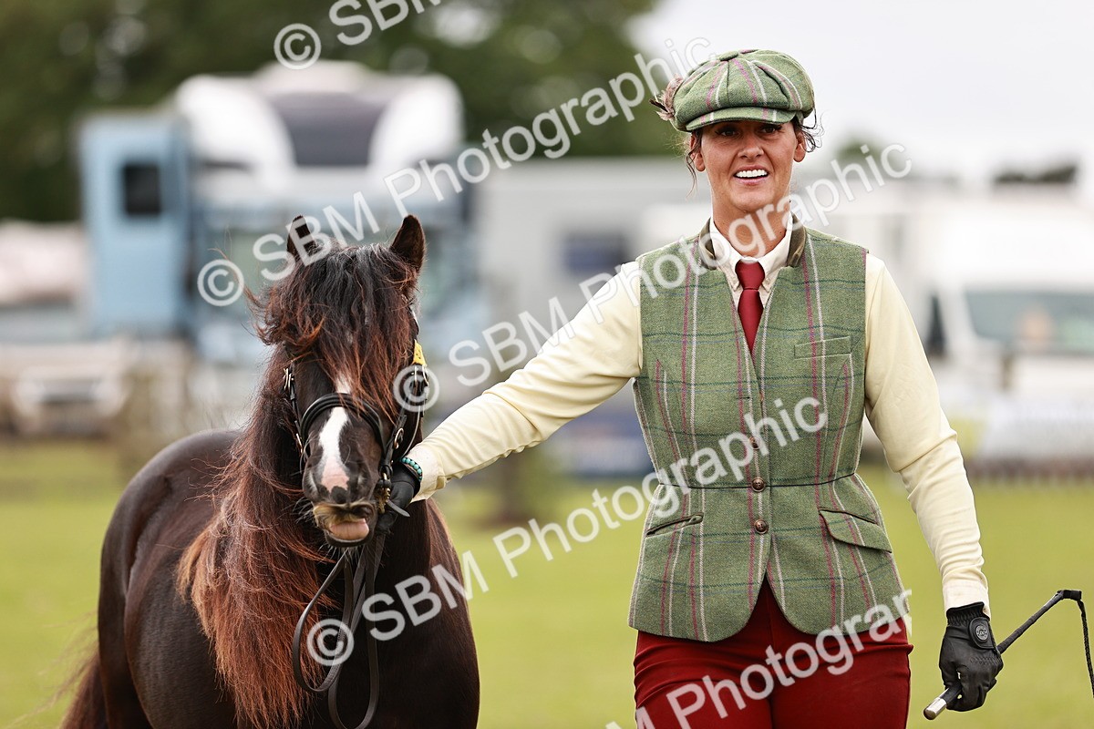 SBM_06002 - Class 39-41 TGCA In Hand and Ridden