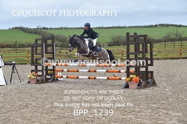 BPP_1239 - CLASS 4 Club/ Unaffiliated 80cms Open