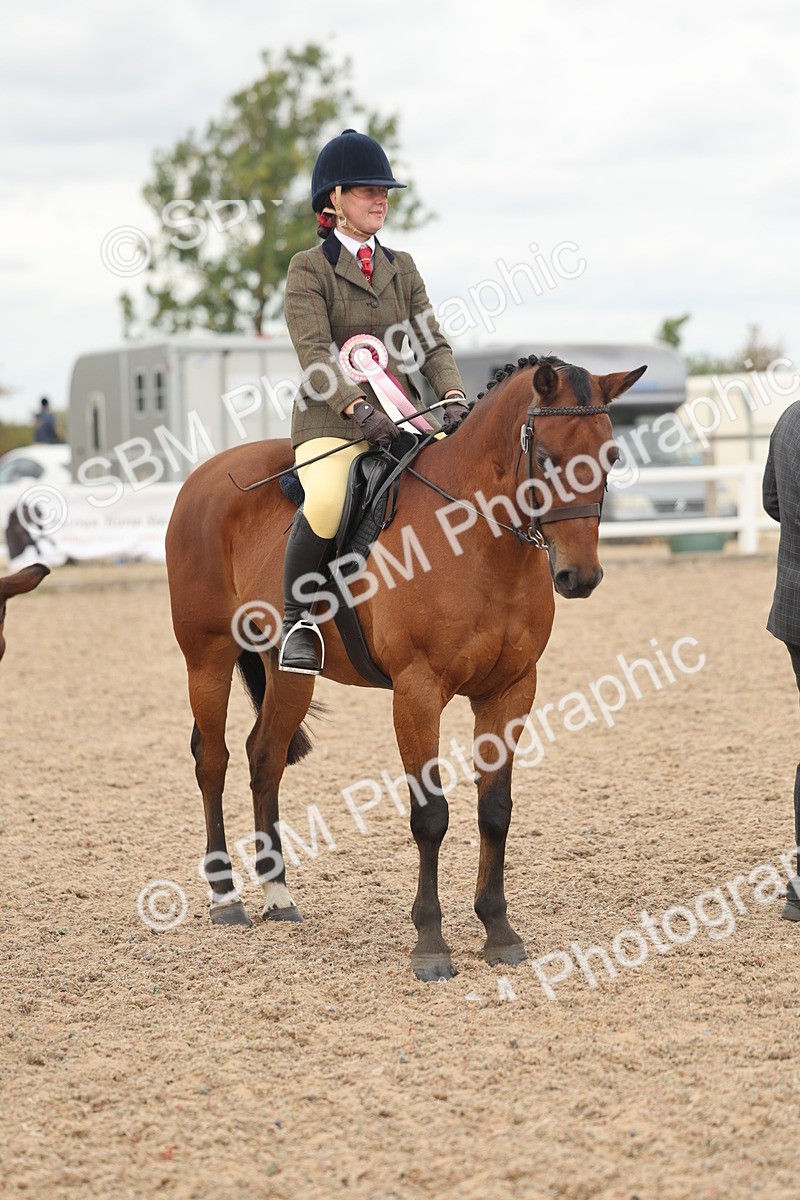 SBM_16081 - Class 311 - Ridden Show pony-Show hunter Pony