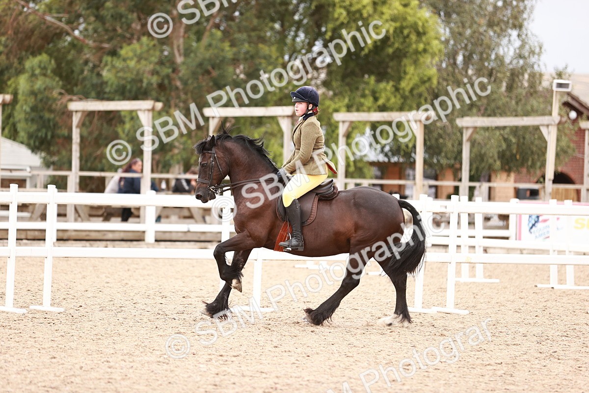 SBM_18989 - Class 422 - Ridden M&M