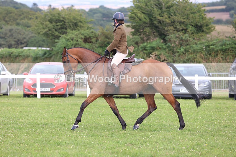JPP_4120 - Class 24: Working Hunter 90cm