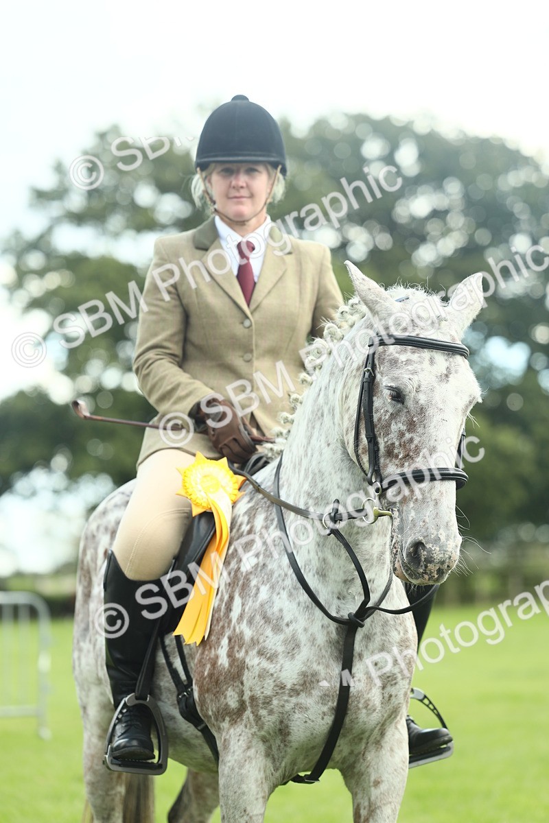 SBM_42214 - S29 - Novice & Newcomers Working Hunter Pony