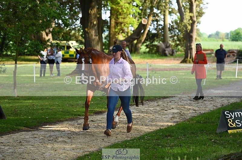 230525-173142-01499 - 323-CHESTNUT_BOBBY-Molly_Fletcher-WEDTrotUp+DR