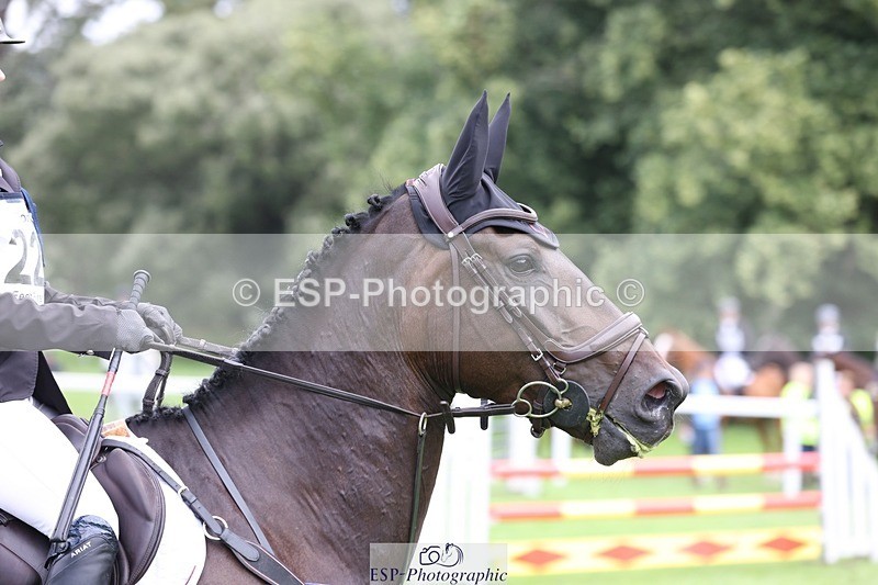 230805-134234-03335 - SJ 13 to End