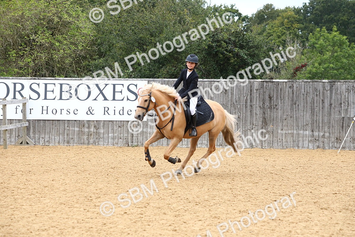 SBM_65190 - Supreme Championship 50cm 60cm 70cm
