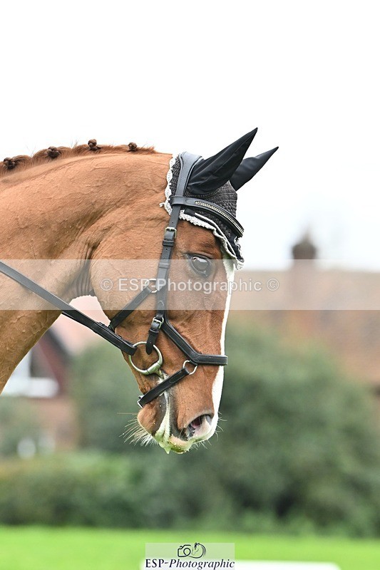 241024-110215-02345 - 314-Beth.Jones-FANTASY.CHILLI.(GB)