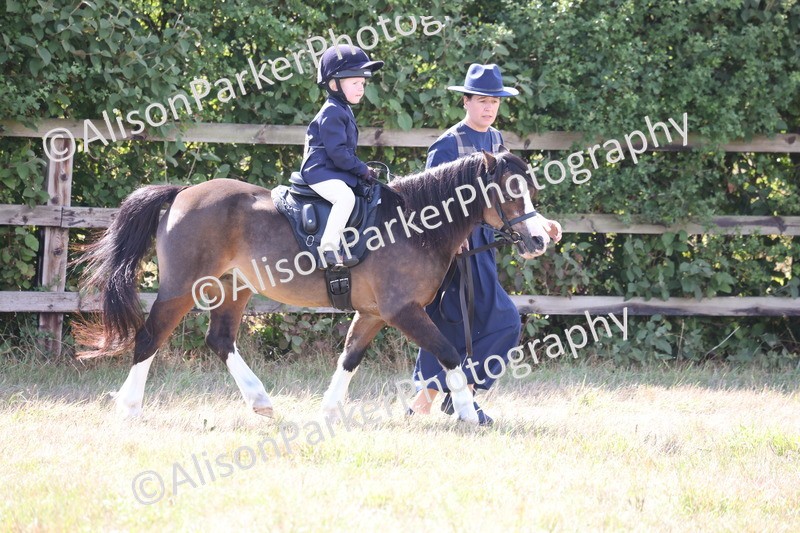 20260906-2798 - Class 25 - Absolute Beginners Pony