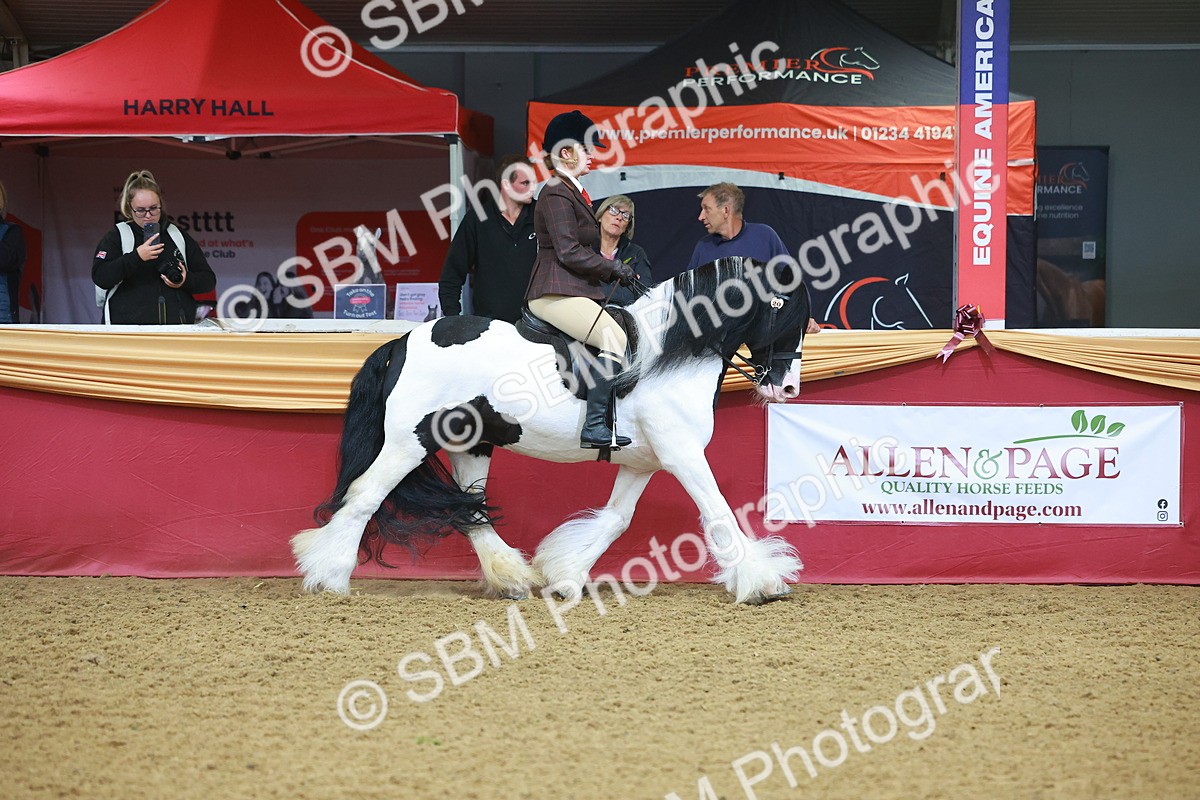 SBM_09620 - Class 102 - HOYS Veteran Qualifier - Ridden Veteran