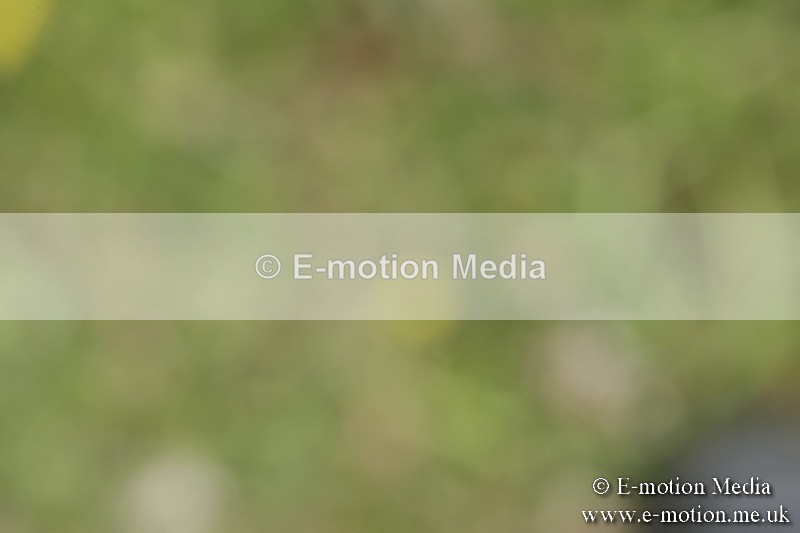 BVR160717-1424 - Class 3 Dressage 16/07/17