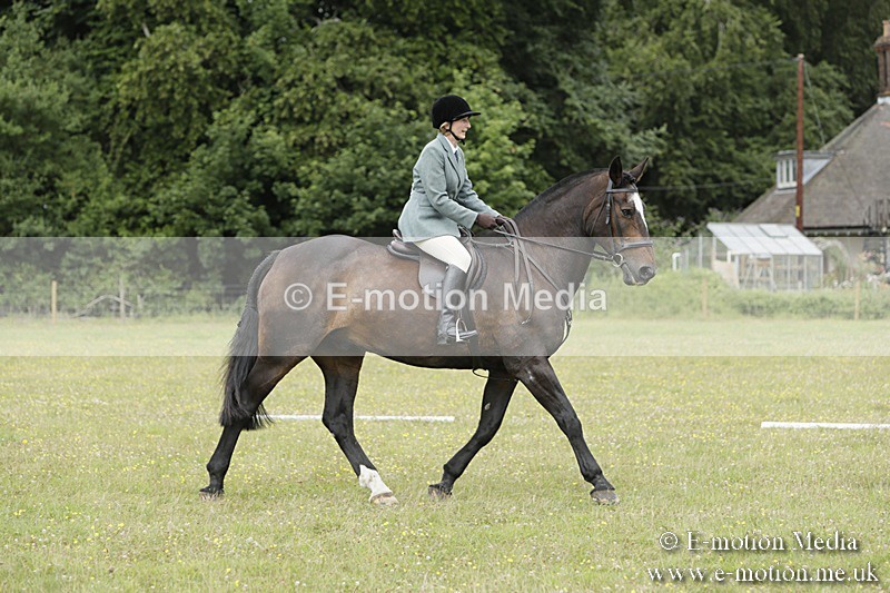 BVR160717-1393 - Class 3 Dressage 16/07/17