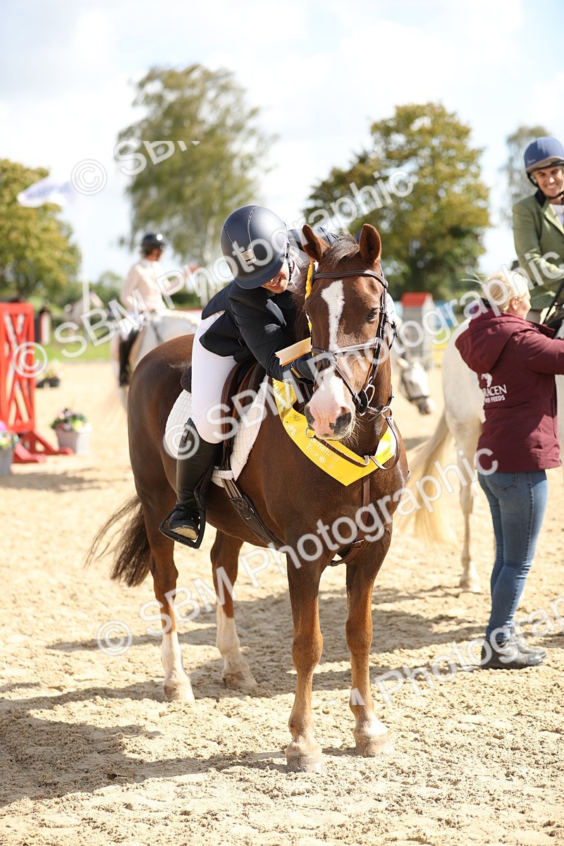 SBM_05787 - J35 - Veteran Rider 60cm