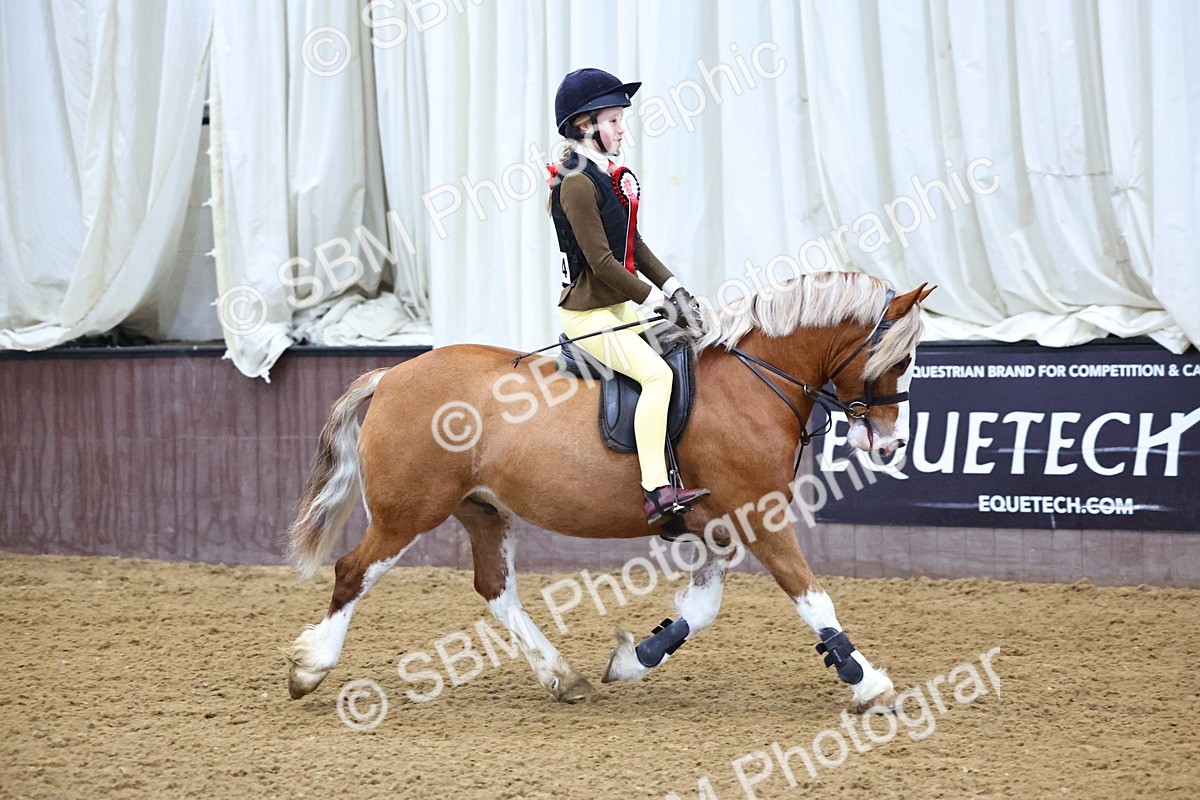 SBM_003465 - Class 36 - 70cm Training Stakes