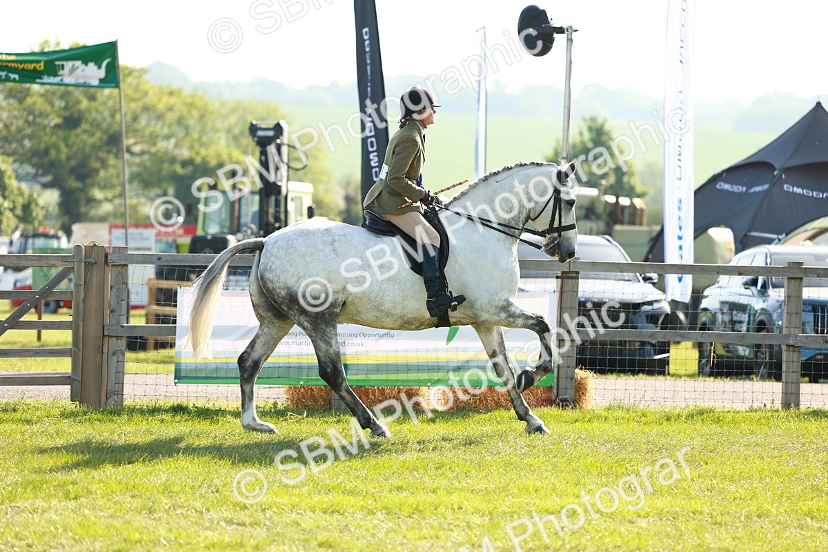 SBM_10851 - Class 66-69 - RIHS Ridden Hunters Inc Small Hunter