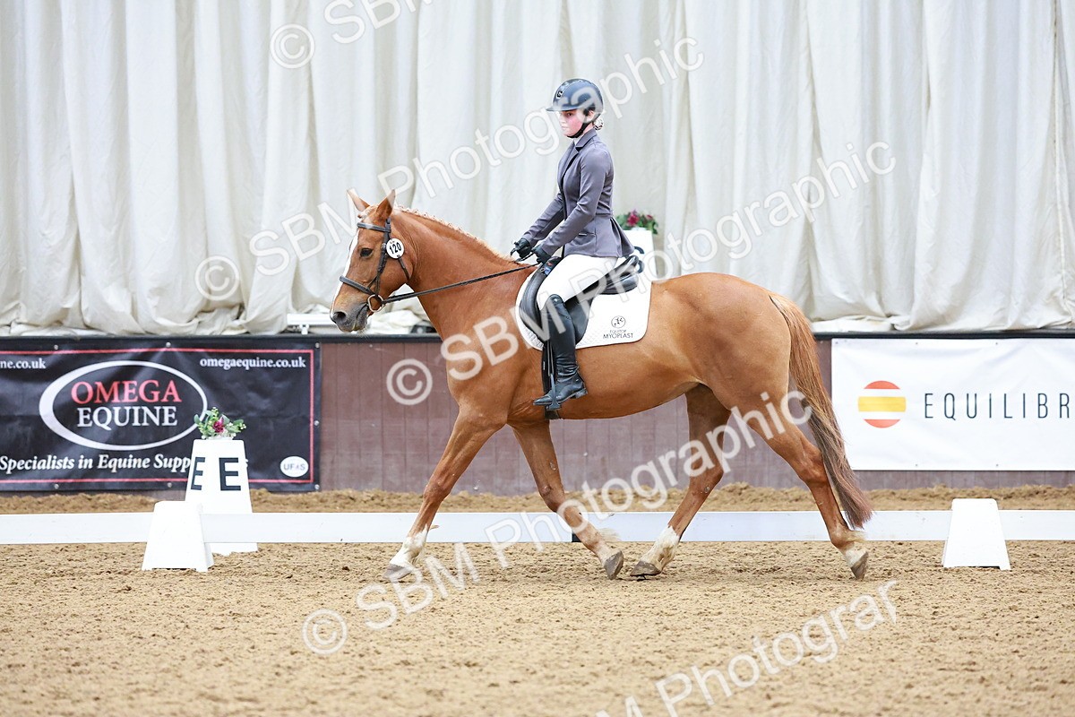 SBM_000955 - Class 12 - Novice 2