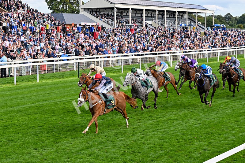 190826-Race 6-Miss Yechance-0724 - Race 6 16.45pm Irish Thoroughbred Marketing Handicap