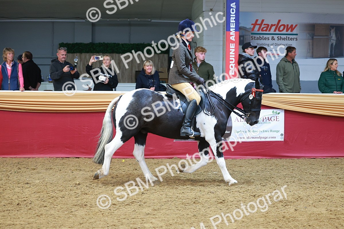 SBM_12729 - Class 103 - HOYS Veteran Qualifier - Ridden Pre Vet