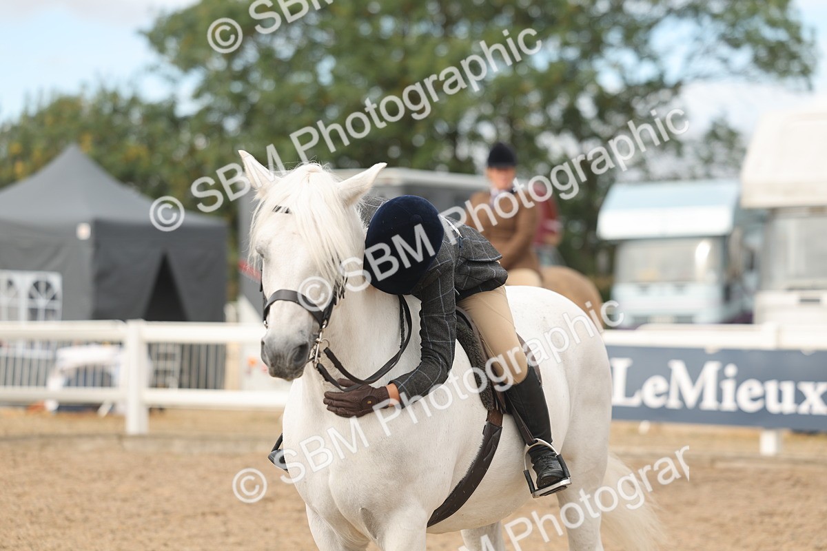 SBM_01996 - Class 14 - Ridden M&M Wildcard