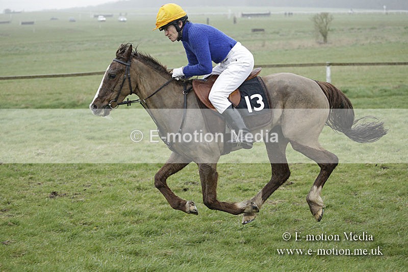 PtP 150320 0086 - New Forest Point-to-Point Larkhill 15/03/20