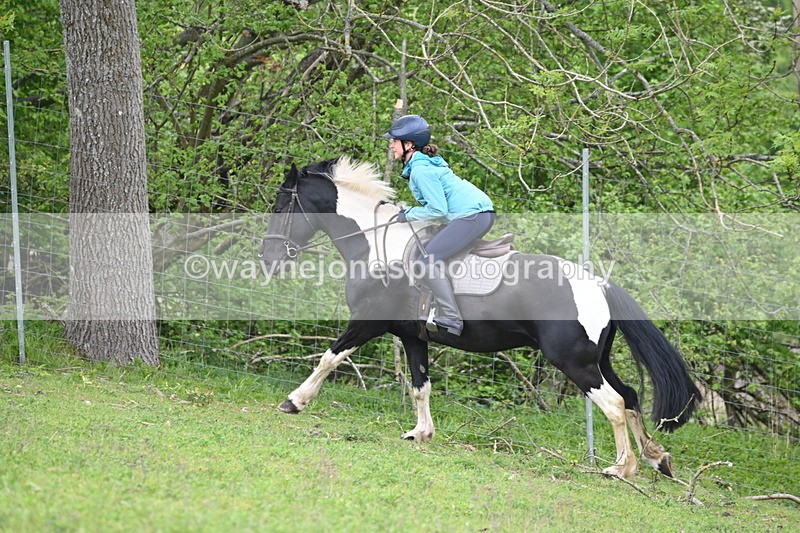 WJ6_3073 - A Camera