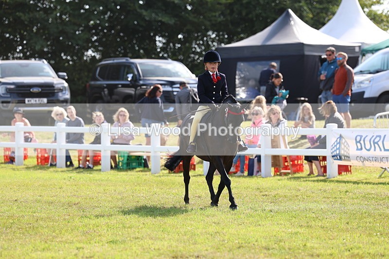 3E7A3978 - Supreme Championship