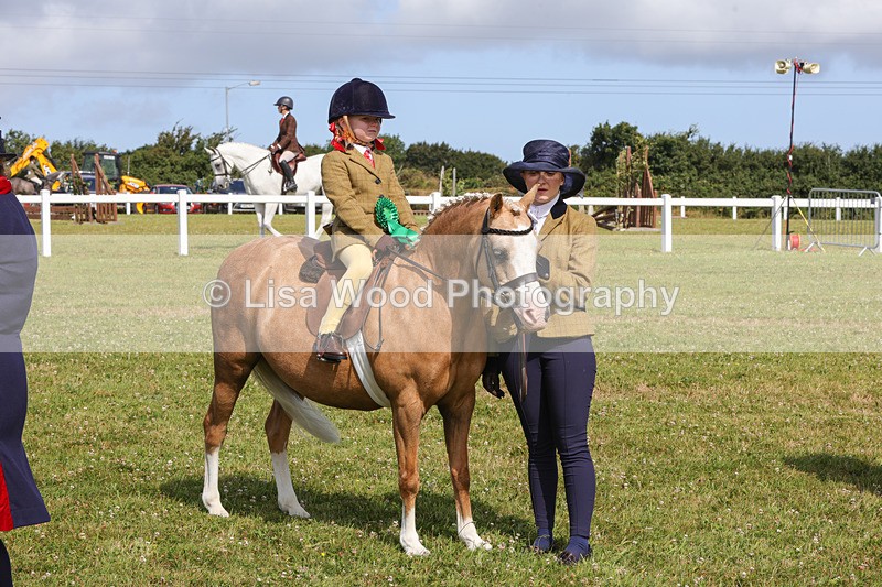 1X9A3686 - Class 29: Lead Rein SP/SHP