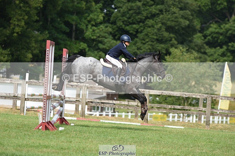 230617-093742-01601 - Cls 15 British Novice & 80cm Open