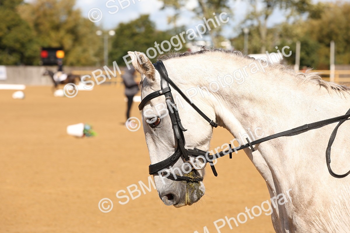 SBM_19608 - D10 - Small Tour Championship Prelim 2