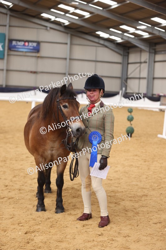 20260913-1734 - Class 115 - Gelding 4years and over