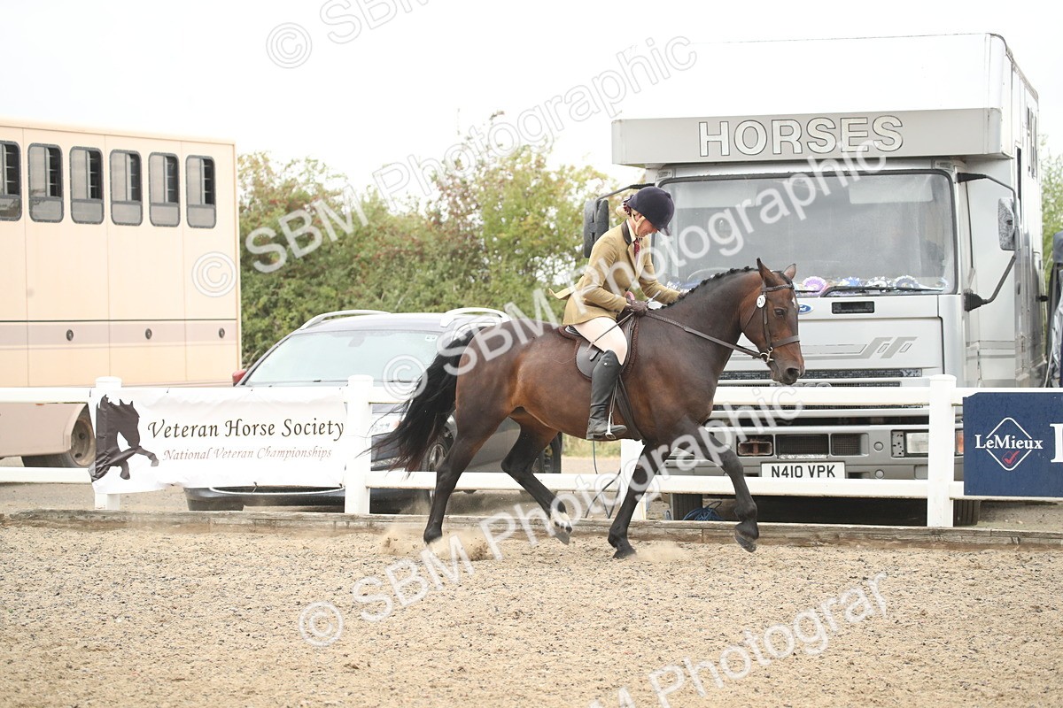 SBM_18435 - Class 509B - Working Veteran - 80cm (20+)